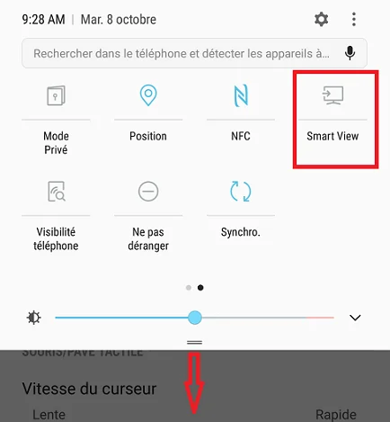 L'image montre l'écran du téléphone cellulaire avec l'option Smart View en surbrillance.
