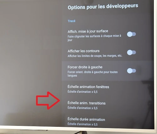 Menu d'options pour les développeurs dans box Android TV
